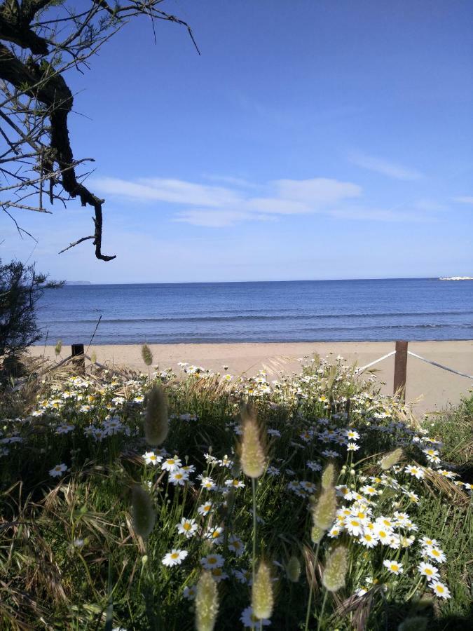 Apartamentos Stil Mar Anna - L'Escala Stil Mar 外观 照片